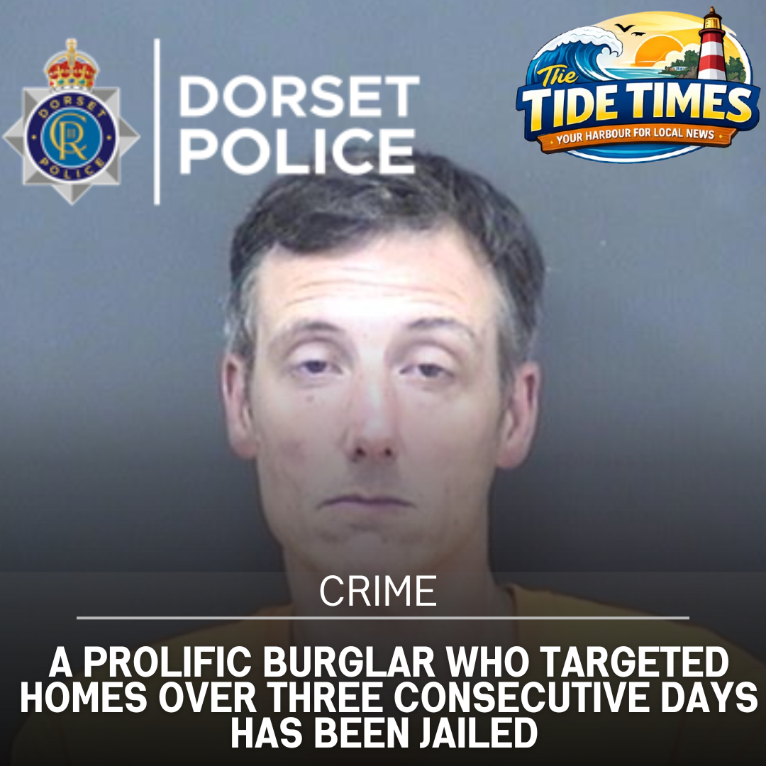 A prolific burglar who targeted homes over three consecutive days has been jailed