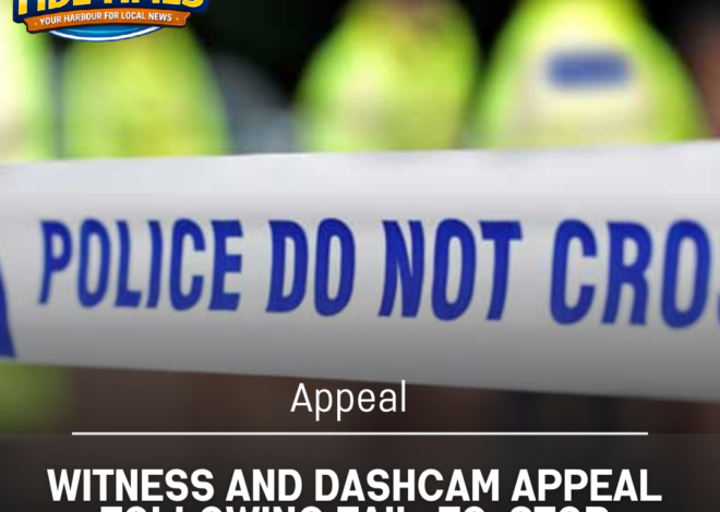 Witness and Dashcam Appeal Following Fail-to-Stop Collision in Dorchester