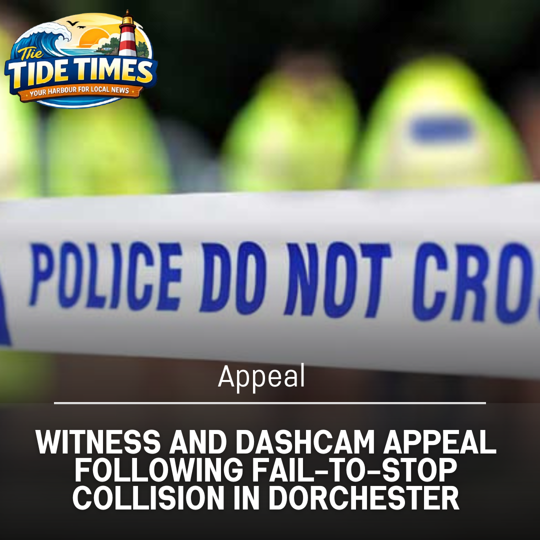 Witness and Dashcam Appeal Following Fail-to-Stop Collision in Dorchester