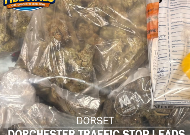 Dorchester Traffic Stop Leads to Drug Seizure and Court Summons