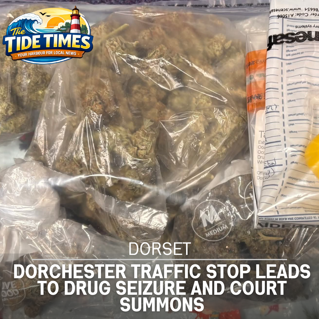 Dorchester Traffic Stop Leads to Drug Seizure and Court Summons