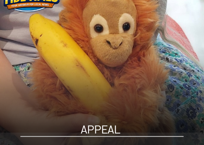 £150 Reward Offered as Family Appeals for Return of Beloved Toy Orangutan ‘Mango’