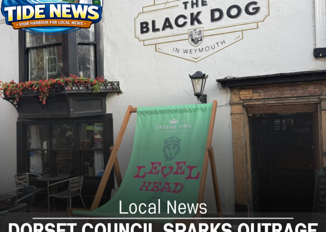 Dorset Council Sparks Outrage Over Black Dog Seating Row
