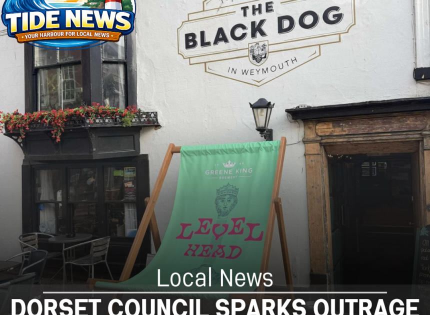 Dorset Council Sparks Outrage Over Black Dog Seating Row